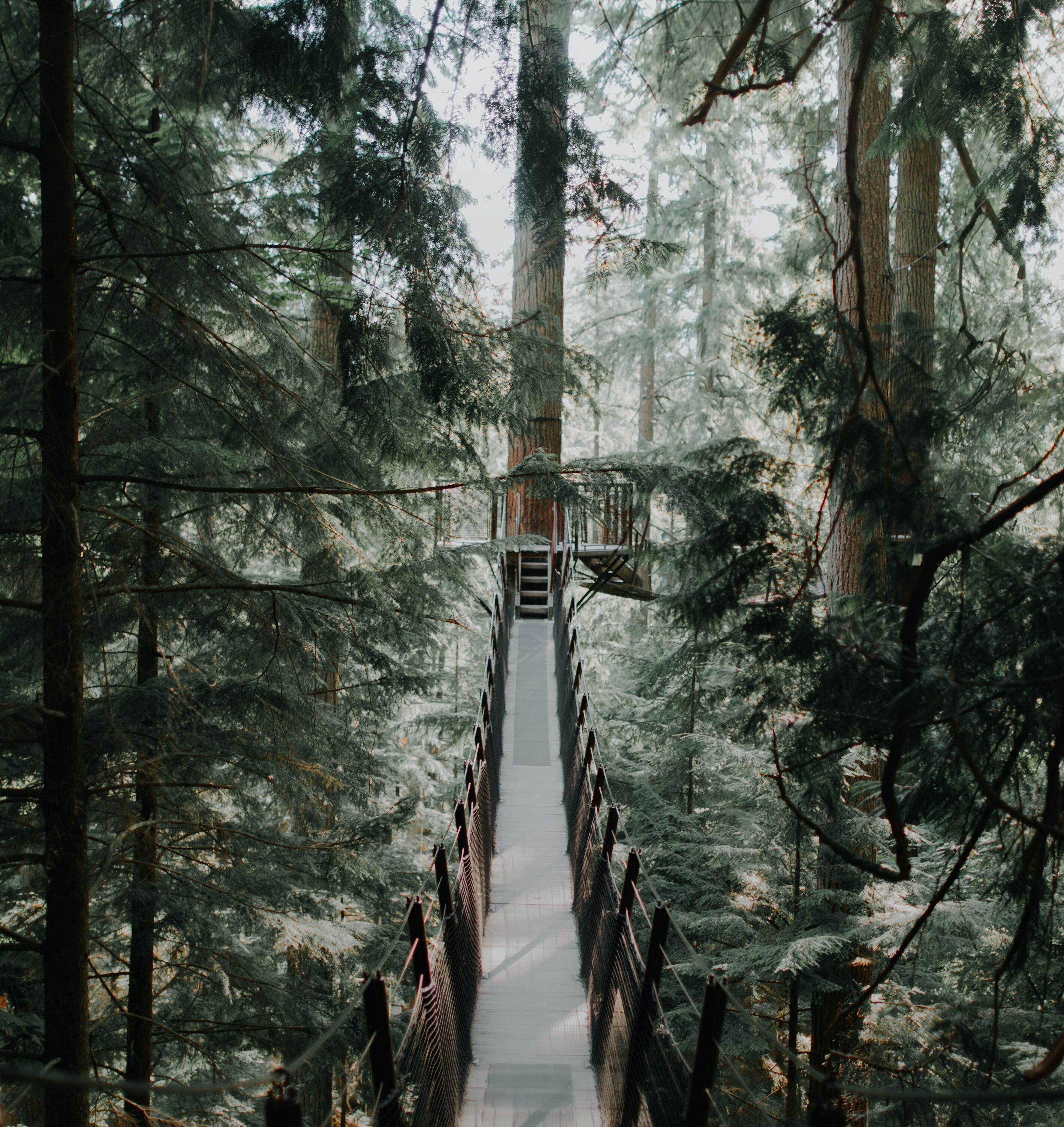 Capilano Suspension Bridge